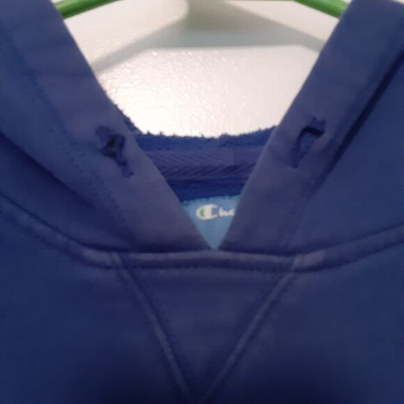 Florida Gators UF Champion Men's Pullover Hoodie Sweatshirt Blue Medium NCAA - Picture 6 of 11